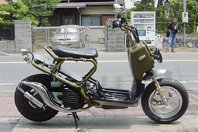 a01 zoomer